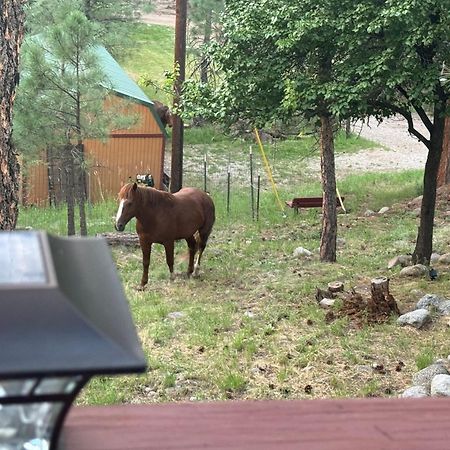 Gonzales Cozy Little Bear Cabin Рюидозо Екстериор снимка