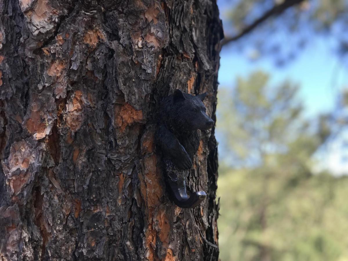 Gonzales Cozy Little Bear Cabin Рюидозо Екстериор снимка