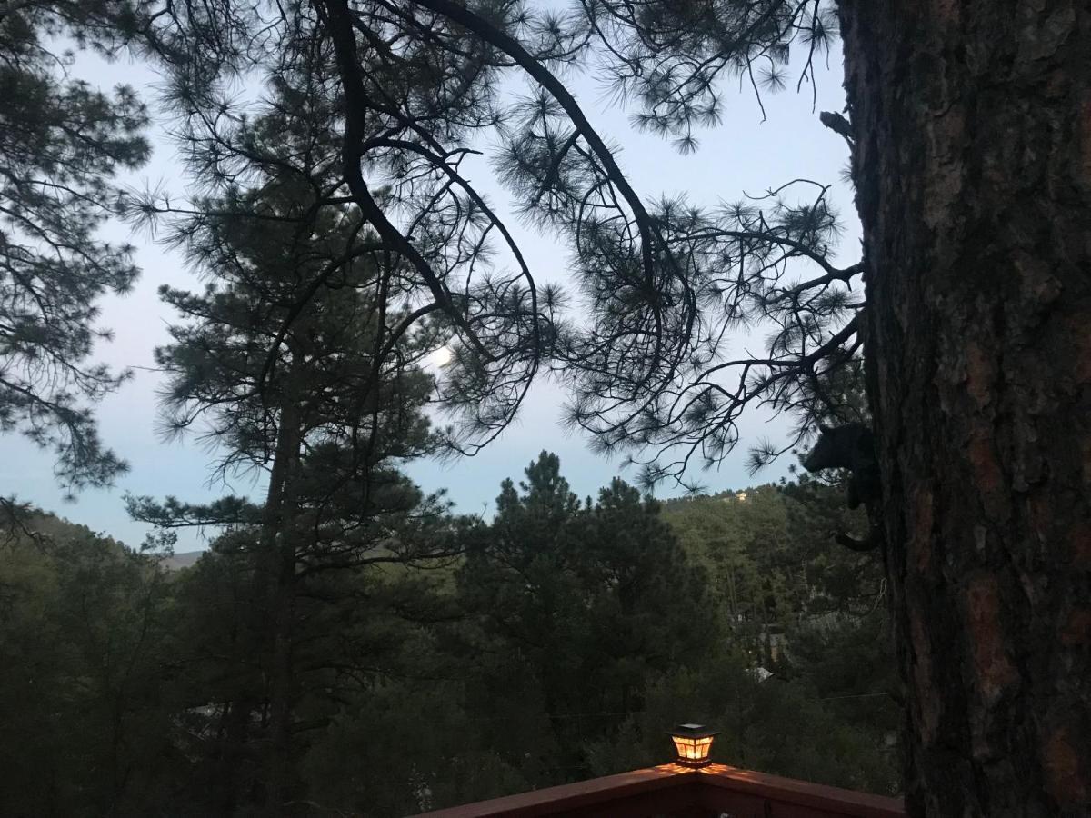 Gonzales Cozy Little Bear Cabin Рюидозо Екстериор снимка